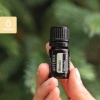Эфирное масло dōTERRA Хиноки, Hinoki, 5 мл