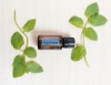 Эфирное масло dōTERRA Мята перечная, Peppermint, 15 мл