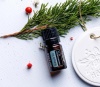 Эфирное масло dōTERRA Бальзамическая пихта, Balsam Fir, 5 мл