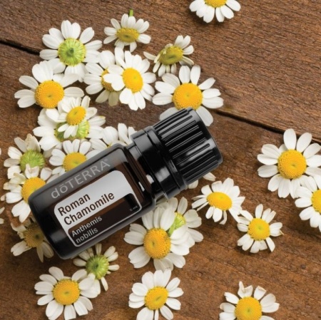 Эфирное масло dōTERRA Римская ромашка, Roman Chamomile, 5 мл