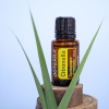 Эфирное масло dōTERRA Цитронелла, Citronella, 15 мл