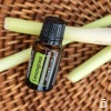 Эфирное масло dōTERRA Лемонграсс, Lemongrass, 15 мл