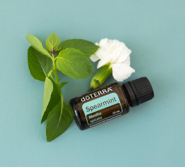 Эфирное масло dōTERRA Садовая мята, Spearmint, 15 мл