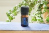 «Дип Блю» успокаивающая смесь эфирных масел для массажа, doTERRA Deep Blue, 5 мл