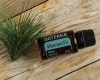 Эфирное масло dōTERRA Сибирская пихта, Siberian Fir, 15 мл
