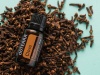 Эфирное масло dōTERRA Гвоздика, Clove, 15 мл