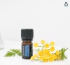 «Дип Блю» успокаивающая смесь эфирных масел для массажа, doTERRA Deep Blue, 5 мл