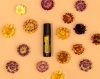 dōTERRA Touch Бессмертник, Helichrysum, роллер 10 мл