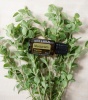 Эфирное масло dōTERRA Майоран, Marjoram, 15 мл