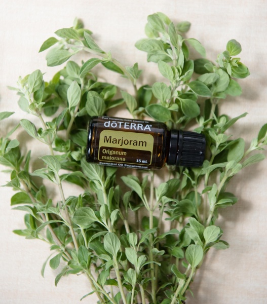 Эфирное масло doTERRA Майоран, Marjoram, 15 мл