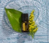 Эфирное масло dōTERRA Бессмертник, Helichrysum, 5 мл