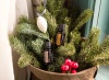 Эфирное масло dōTERRA Кедр, Cedarwood, 15 мл