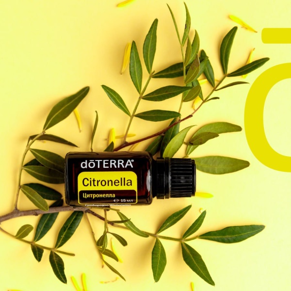 Эфирное масло doTERRA Цитронелла, Citronella, 15 мл