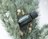 «Баланс» смесь масел для установления равновесия, doTERRA Balance, 15 мл