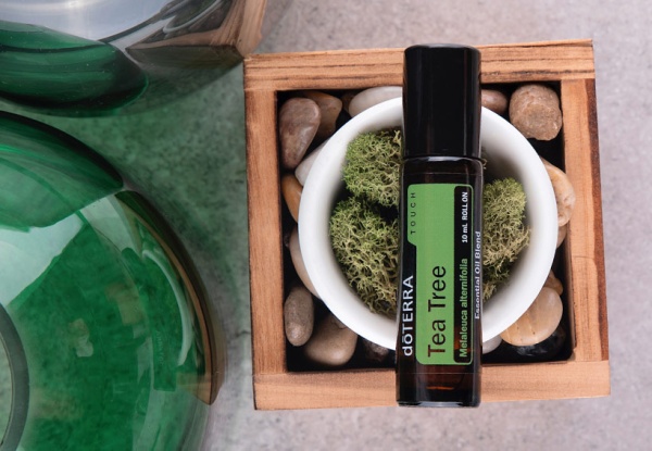 doTERRA Touch Чайное дерево, Tea Tree, роллер 10 мл