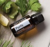 «Пьюрифай» очищающая смесь эфирных масел, doTERRA Purify, 15 мл