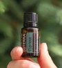 Эфирное масло dōTERRA Кипарис, Cypress, 15 мл