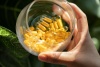 doTERRA Куркума в капсулах, Turmeric, 60 двухкамерных капсул