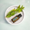 Эфирное масло dōTERRA Кипарис, Cypress, 15 мл
