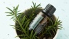 Эфирное масло dōTERRA Сибирская пихта, Siberian Fir, 15 мл