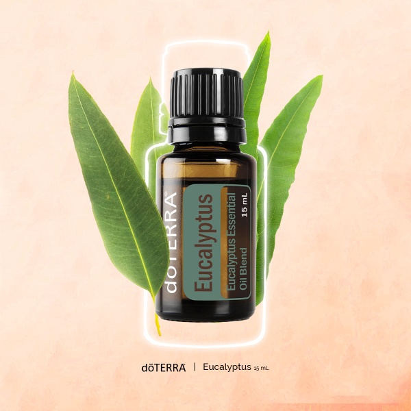 Смесь эфирных масел doTERRA Эвкалипт (из 5-ти уникальных видов), Eucalyptus, 15 мл