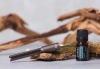 Набор doTERRA «Городской дзен» диффузор для авто со смесью Баланс, 5 мл