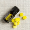 Эфирное масло dōTERRA Бессмертник, Helichrysum, 5 мл